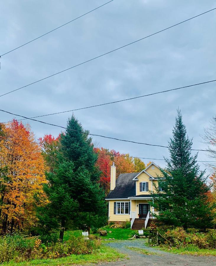 Au Gre Du Temps - Gite B&B Shefford Dış mekan fotoğraf