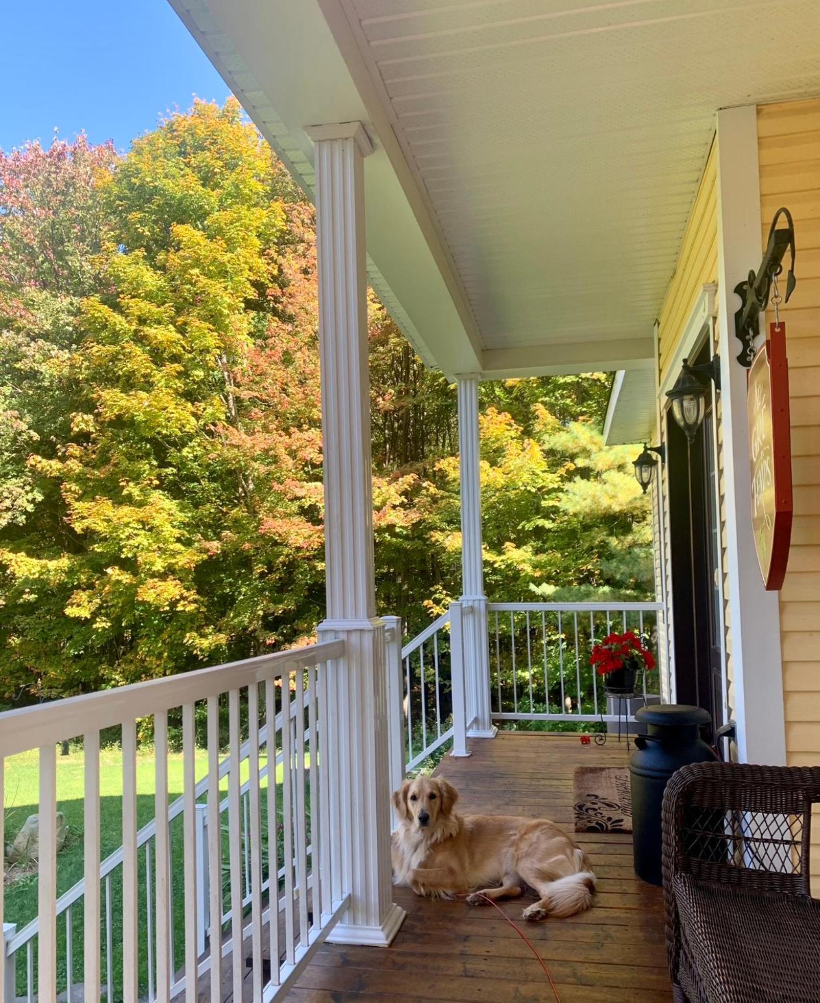 Au Gre Du Temps - Gite B&B Shefford Dış mekan fotoğraf
